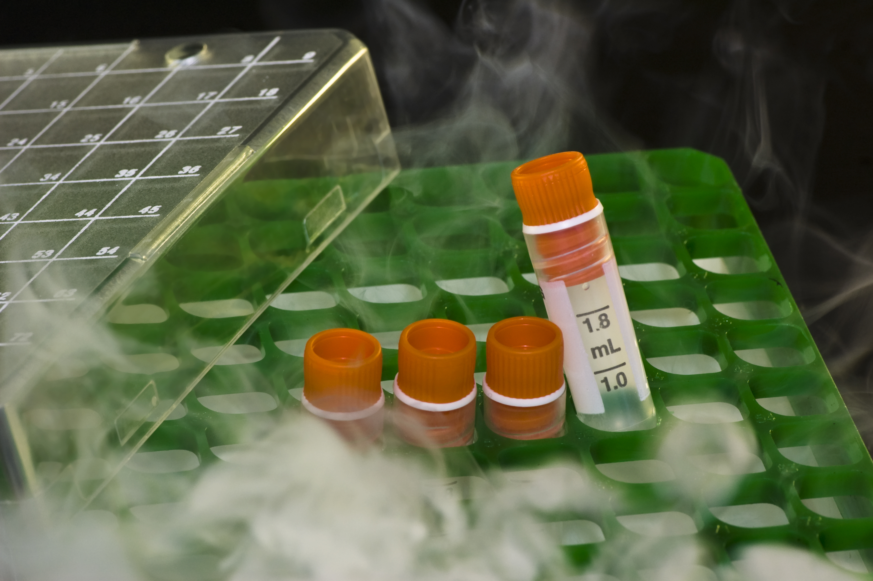 ISBER’s Best Practices for Cryogenic Storage of Samples and Biobanks: Preserving the Future of Research